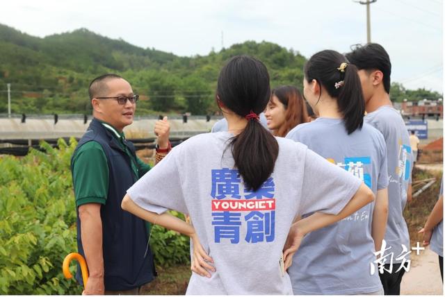 广药大学生在云浮田间地头创业，南药选育又有新突破