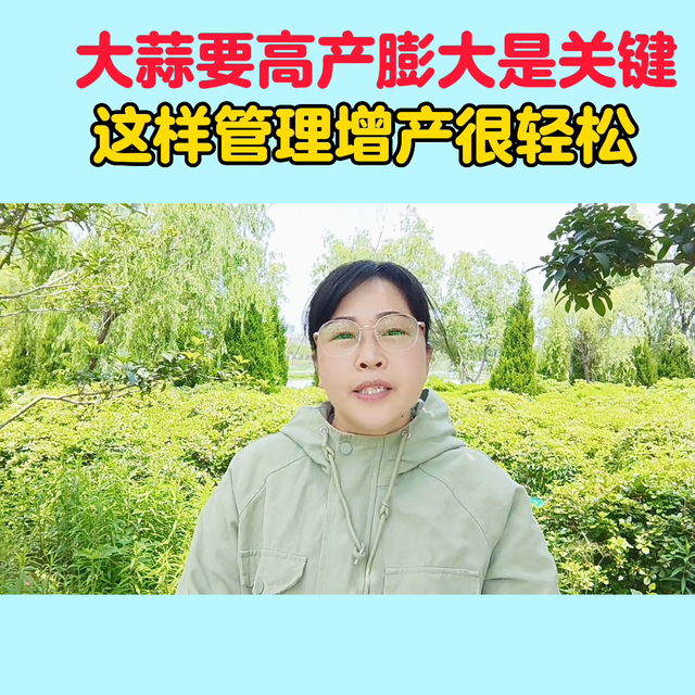 大蒜要高产膨大是关键#新农人计划2023