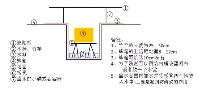 “变态”的日本，草莓种成35个等级，畸形率如何低到5%