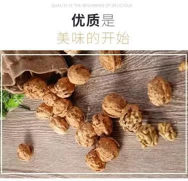 甘肃省积石山县核桃种植农民专业合作社简介