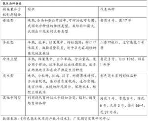 辽宁花生种植时间(花生品种基础知识及期货合约介绍)