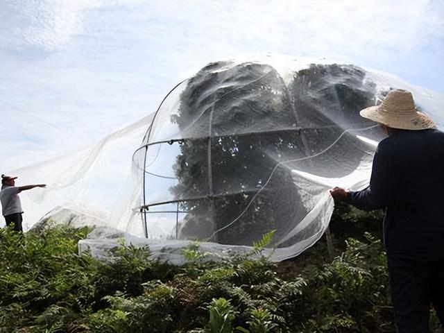 有机农业种植技术的方法，它有什么措施？