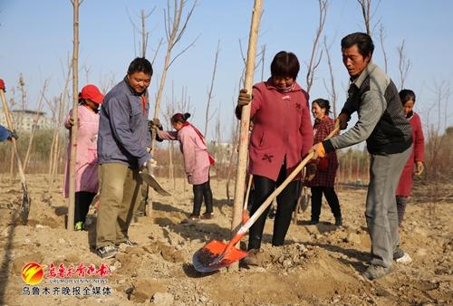 东八家户水库绿地种植乔灌木