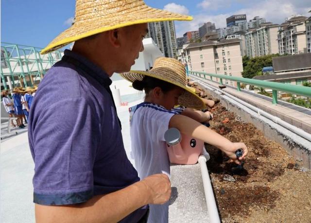 知“蔬”达理，快乐种“植”！学府一小“植”艺传承种植课程启动