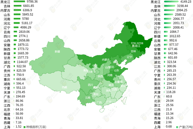 我国产量居全球第二位，每年还需大量进口玉米