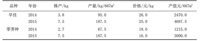 早佳杨梅栽培技术要点及效益分析