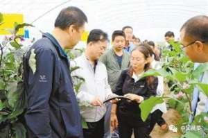 太空灵芝的种植基地(一块地78个大葱品种、温室种出灵芝和木耳，青海蔬菜如何快速发展)