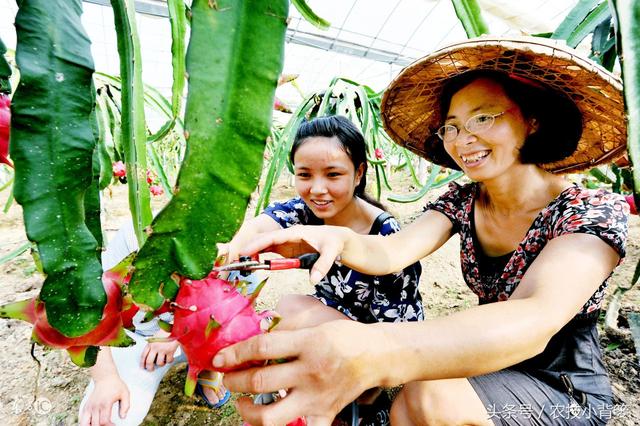 知道这6条，农业特种种植不再受骗！