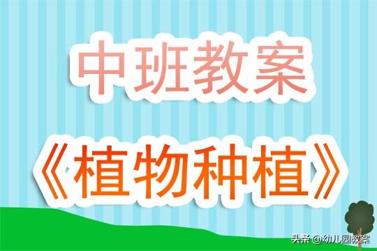 幼儿园中班教案《植物种植》含反思