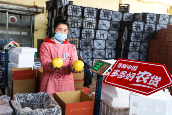 95后返乡大学生2年售出40万单 拼多多助力赵县雪花梨“出圈”