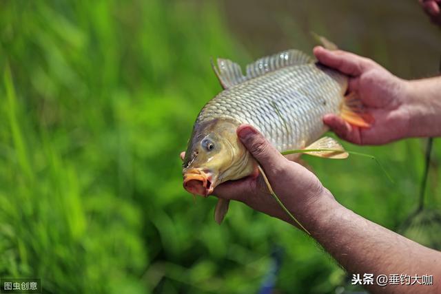 浮萍草袭击钓点无法钓鱼？这个不起眼的东西，轻松助你解决困扰