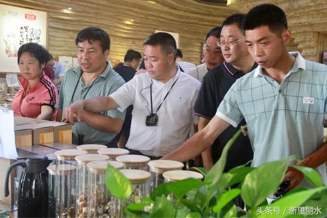 厉害 莲都食用菌产业的成就，收获了全省各地食用菌专家的N个点赞