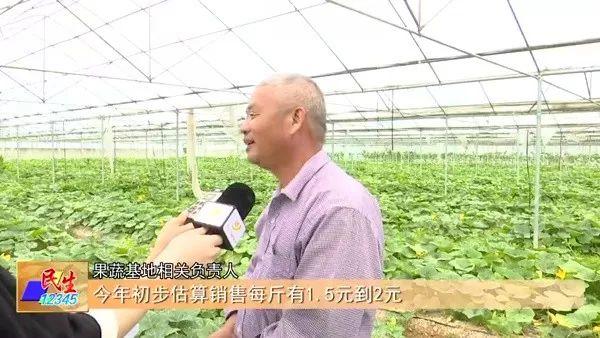 少见多怪？阳东新洲：香芋味的小南瓜长这个样