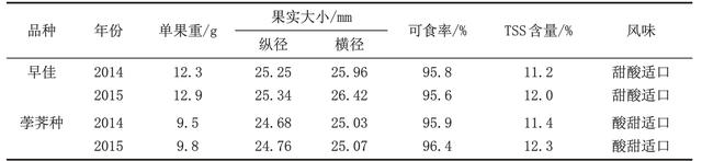 早佳杨梅栽培技术要点及效益分析