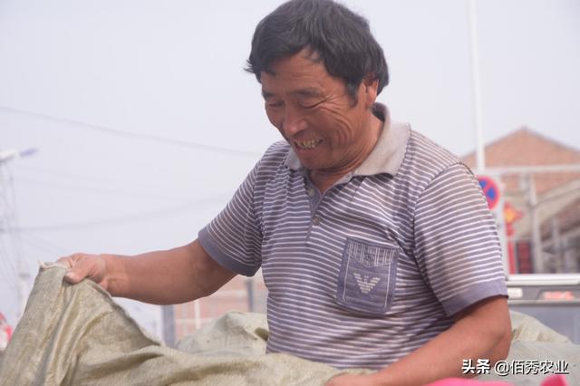 农民种植何首乌，为当前火爆中药材，亩产高达6000斤，存潜在风险