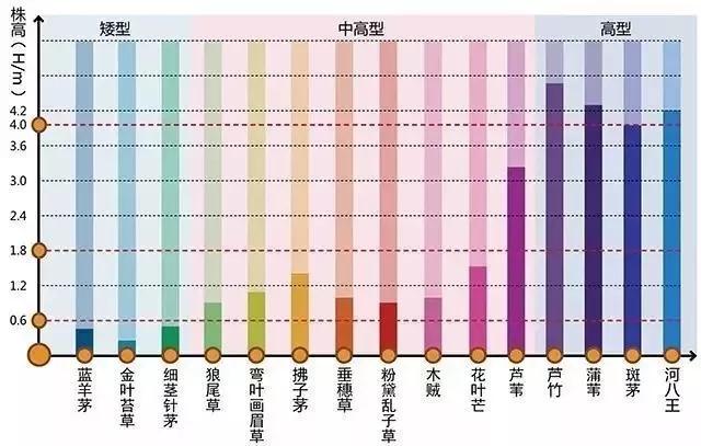 用观赏草打造四季不落的风景