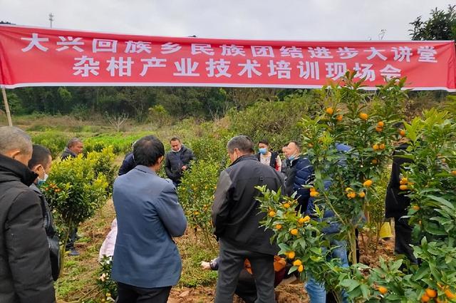 「绵阳」盐亭县大兴回族乡争做乡村振兴“排头兵”