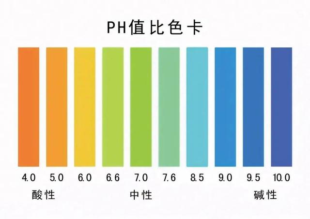 分插法种植玫瑰的方式及应用技巧