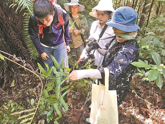 粤中药材家底摸清 跨度八年，广东省中药资源较上次普查增加两千五百余种