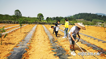 四月农忙正当时 农技下乡助春耕