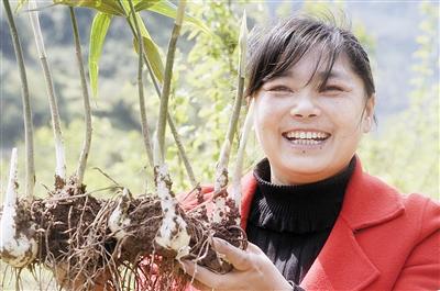 华溪村人信心足：“三大宝贝”助增收