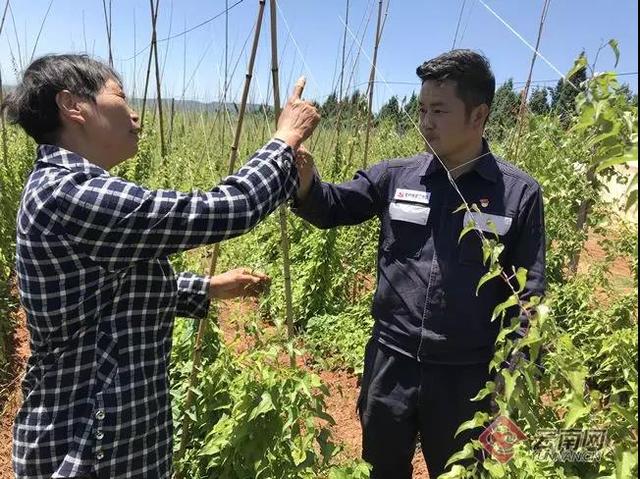 网上自学带领村民种山药，这个驻村干部将抖音当工作阵地