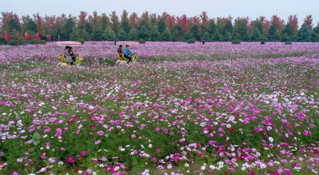 这个六月一起去祥和庄园看浪漫花海，骑马射箭，尽享田园生活