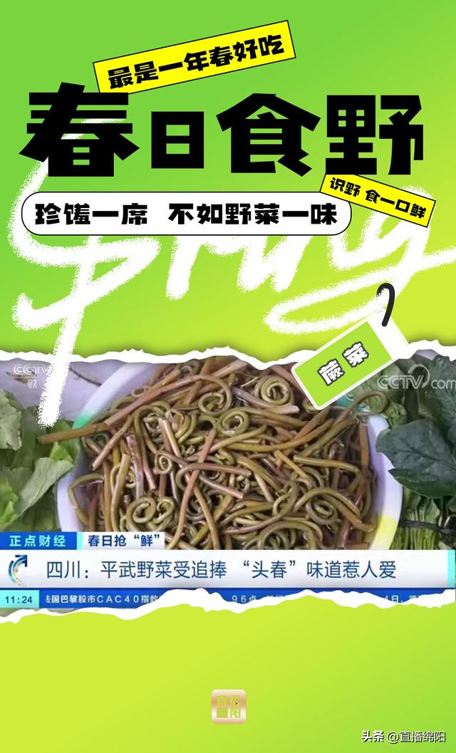 野菜一味丨绵阳人怎么把春天一口塞进嘴里？