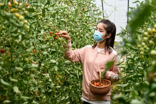 这个六月一起去祥和庄园看浪漫花海，骑马射箭，尽享田园生活