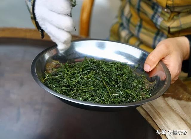 在家种盆茶，好看、好闻还能喝