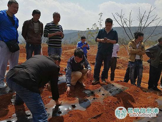 康美药业东川中药材种植扶贫项目启动 培训会在乌龙镇召开