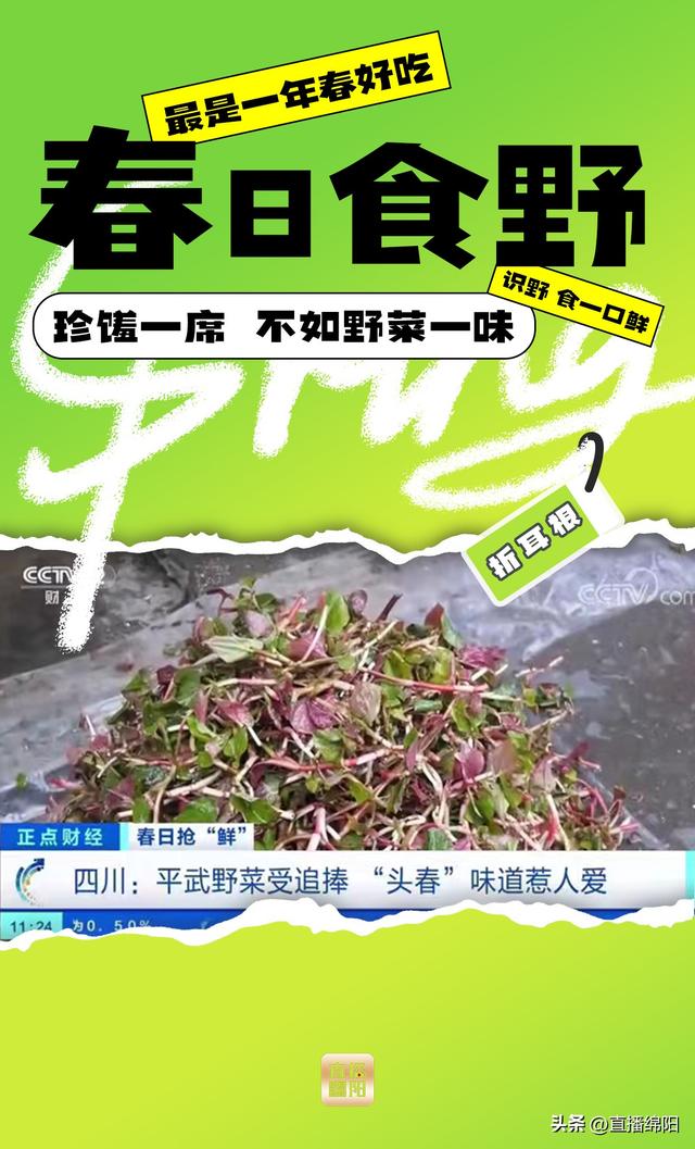 野菜一味丨绵阳人怎么把春天一口塞进嘴里？