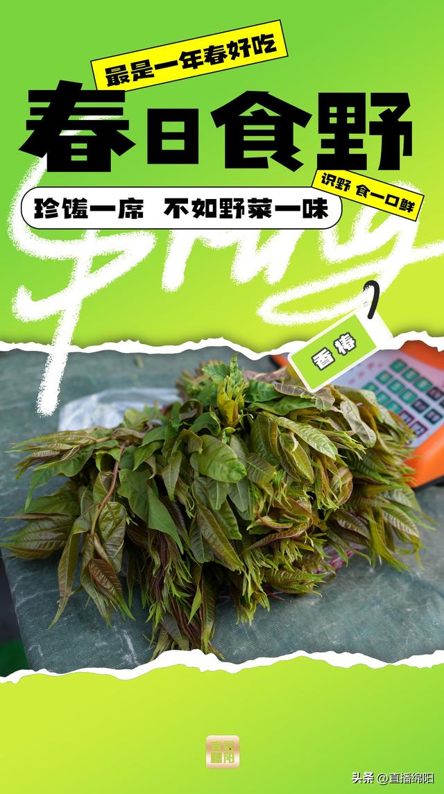 野菜一味丨绵阳人怎么把春天一口塞进嘴里？