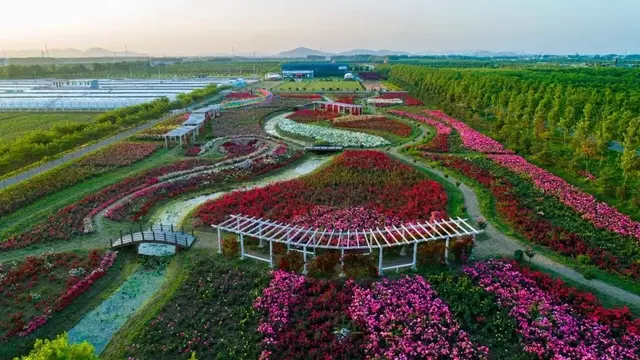 这个六月一起去祥和庄园看浪漫花海，骑马射箭，尽享田园生活