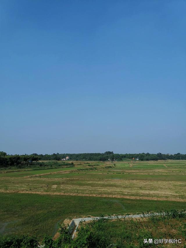 丘陵地区新近农田开发的田块，水稻直播后的苗期管理