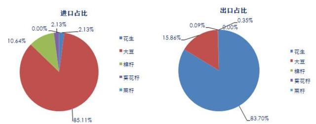 油用牡丹行业调研——骗局还是机遇，别只看到表面！