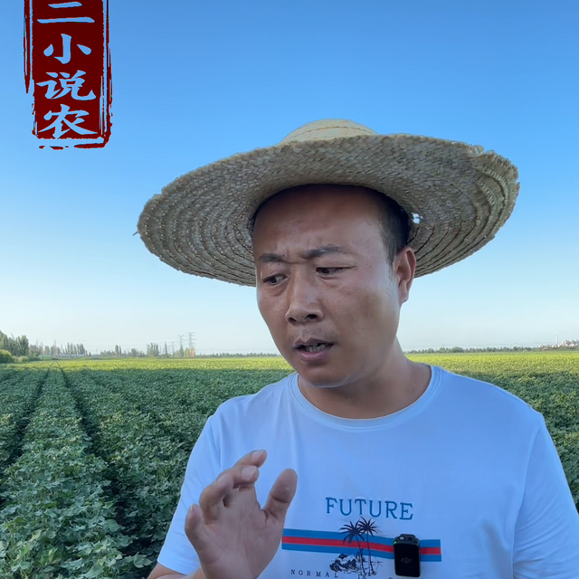 分享高产种植户的经验！个人只是总结分享！要因地制宜！@...