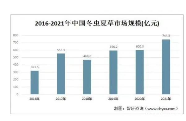 人工种植的冬虫夏草究竟是“仙草”还是“妖草”？