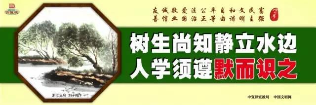 【脱贫攻坚夏季攻势】西番莲成了西山乡龙准村的致富果