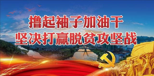 脱贫攻坚春季攻势｜茂兰镇发展“四大产业”助推脱贫攻坚！