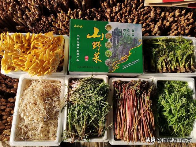 冬天里的一抹绿，冬季能吃到的新鲜山野菜你知道吗