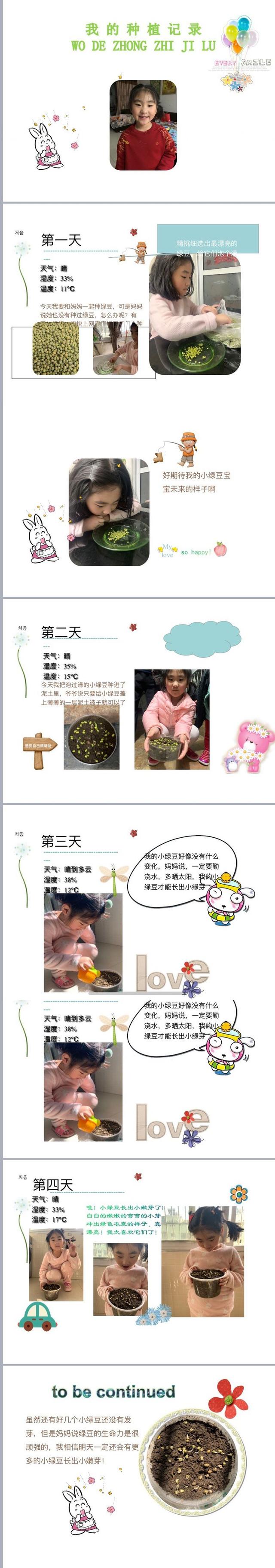 邂逅春天里——徐州市第二实验幼儿园大班组植物种植观察日记分享