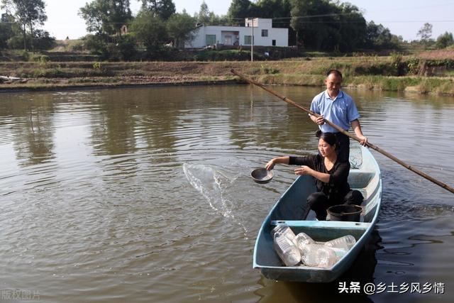 em菌的正确使用方法，在种植、养殖、水产上的使用方法，太全面了