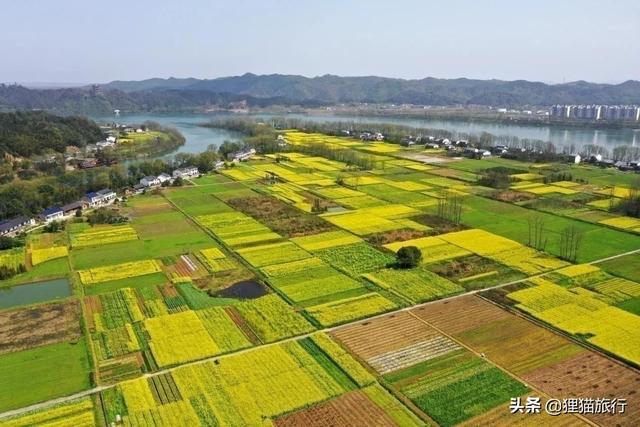 湖南沅江最大的江心洲——白鳞洲村，《向往的生活第五季》拍摄地