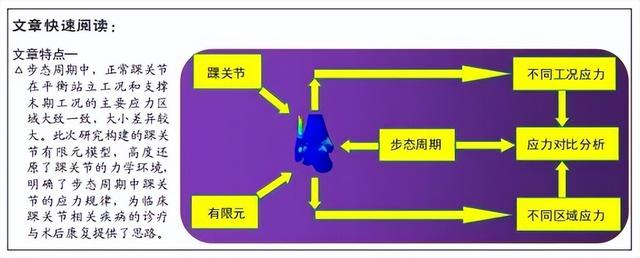 有限元分析在组织工程研究领域的应用：CJTER杂志热点综述文章