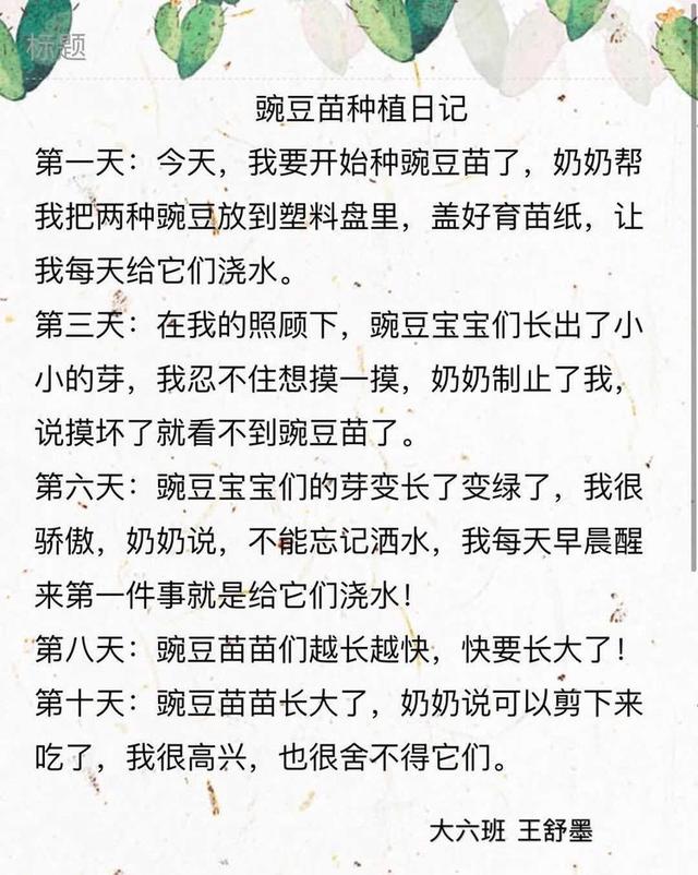 邂逅春天里——徐州市第二实验幼儿园大班组植物种植观察日记分享