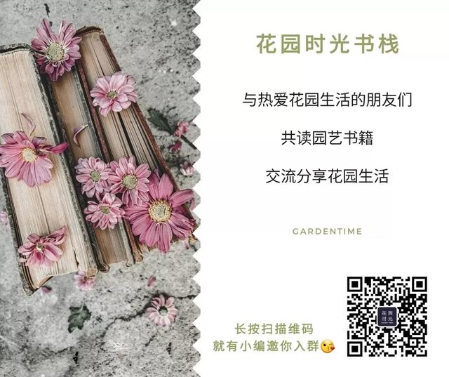 学学园艺大咖们的爬藤植物牵引术，花墙还是花廊都是小case啦