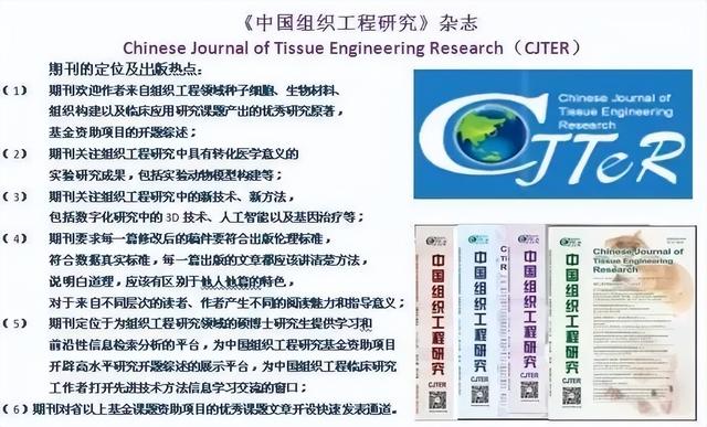 有限元分析在组织工程研究领域的应用：CJTER杂志热点综述文章