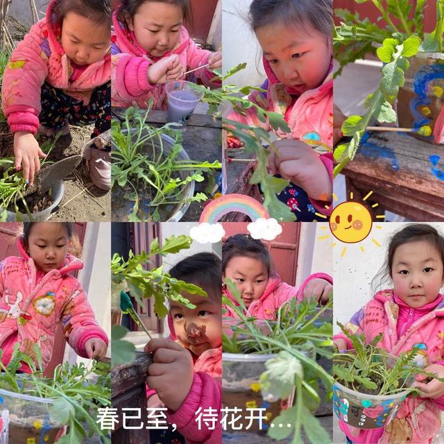 邂逅春天里——徐州市第二实验幼儿园大班组植物种植观察日记分享