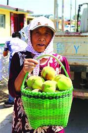 “红蜜”挂枝头店子秋桃迎来大丰收